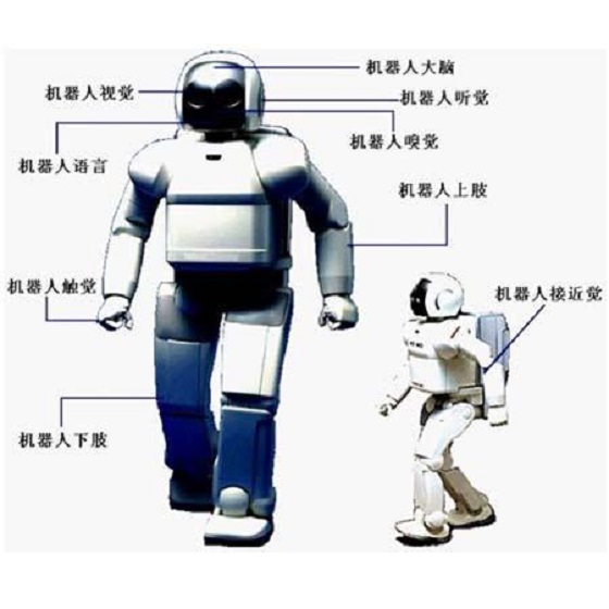 位移傳感器在智能機器人中的應用